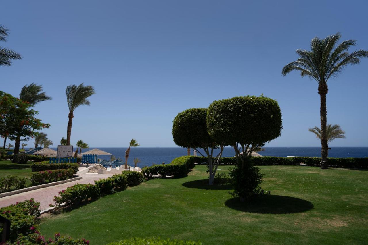 sharm el sheikh grand oasis